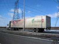 Loblaws biologique céréales carrés de blé